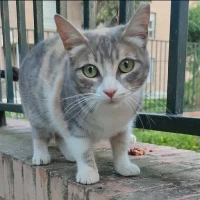 Adopta a Mery