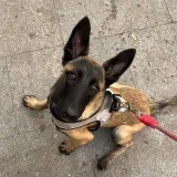 Adopta a Alma