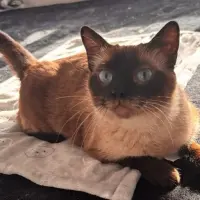 Adopta a Mora