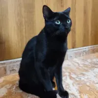 Adopta a Marilú + Candín