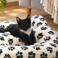 Adopta a Tux Tux