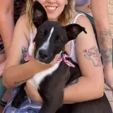Adopta a Kiara