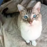 Adopta a Ralph