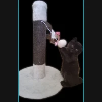 Adopta a Mishi