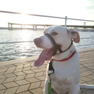 Ragnar