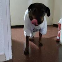Adopta a Luna