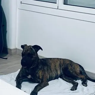 Luna