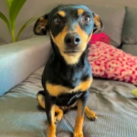 Adopta a Tuka