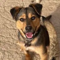 Adopta a Menta