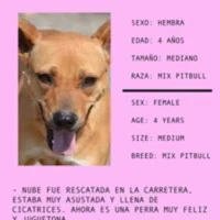 Adopta a Nube