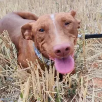 Adopta a Futur