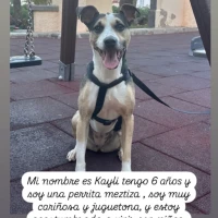 Adopta a Kayli