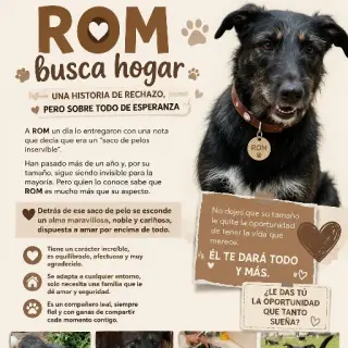 Rom