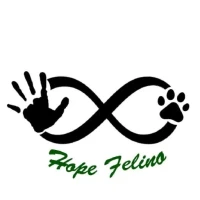 Asociación Hope Felinos