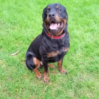 Zeus