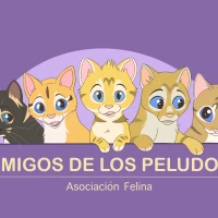 Amigos de los Peludos