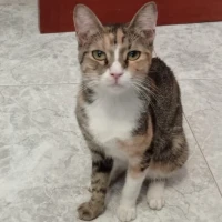 Adopta a Melisa