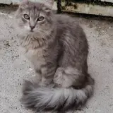 Adopta a Aitana