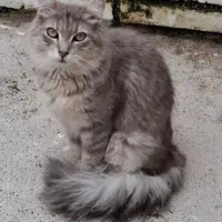 Adopta a Aitana