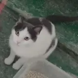 Adopta a Linda