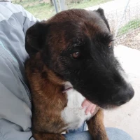 Adopta a Carbón