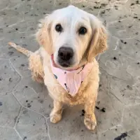 Adopta a Naima