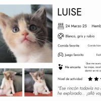 Adopta a Peponetos