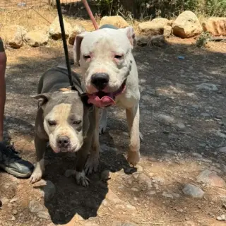 Urko & Channel