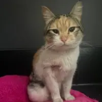 Adopta a Gabriela