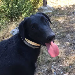 Ricky