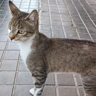 Lucie