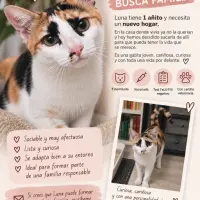 Adopta a Luna