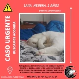 Adopta a Laiia