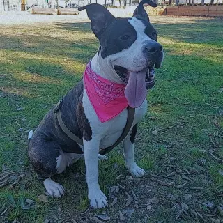 Hera