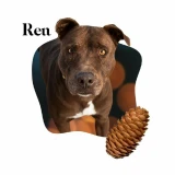 Adopta a Ren