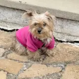 Adopta a Luna