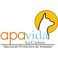 A.P.A. Vida