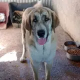 Adopta a Natura