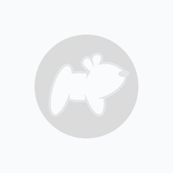 Adopta a Garfield Y Pelusa