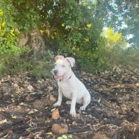 Adopta a Hera