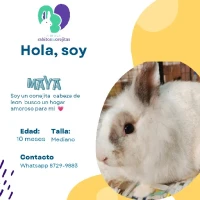 Adopta a Maya