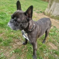 Adopta a Keila