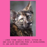 Adopta a Linda