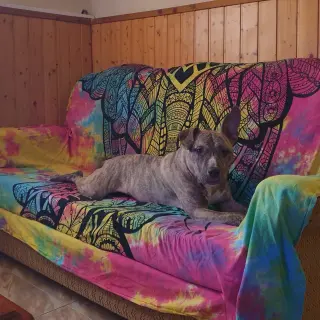 Narco