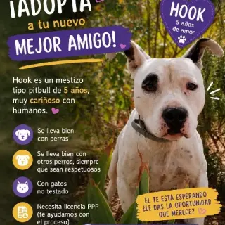 Hook