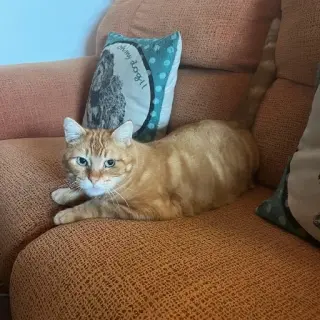 Garf Mat