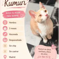 Adopta a Kumuri