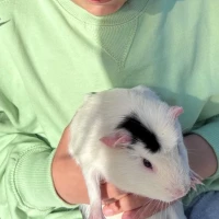 Adopta a Ariadna Pastran