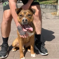 Adopta a Drax