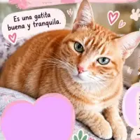 Adopta a Sofi